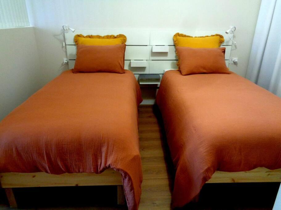 Appartement Hestia F1 Bis + Terrasse Hyper Centre Lons-le-Saunier Eksteriør billede